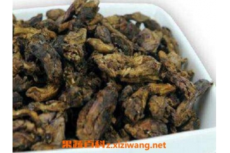 蜜款冬花的功效与作用