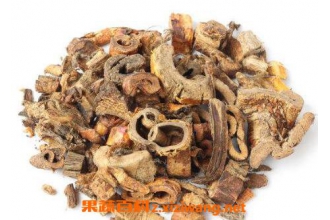 桑白皮的功效与作用及药用价值