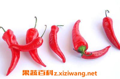 指天椒的功效