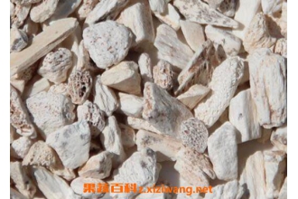 龙骨的功效与作用及禁忌