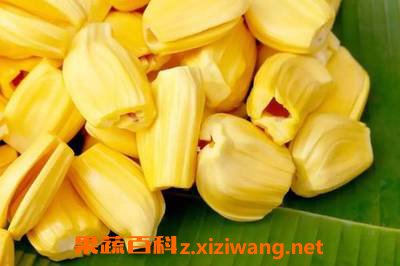 食用菠萝蜜禁忌