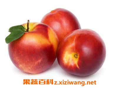 油桃