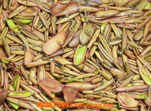 新鲜的莼菜怎么洗 新鲜的莼菜怎样保存