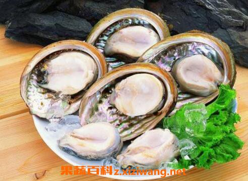 智利鲍鱼怎么吃 智利鲍鱼制作方法