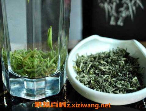 都匀毛尖的功效与作用