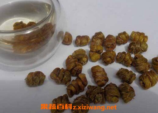 石斛泡水怎么泡 石斛泡水喝方法