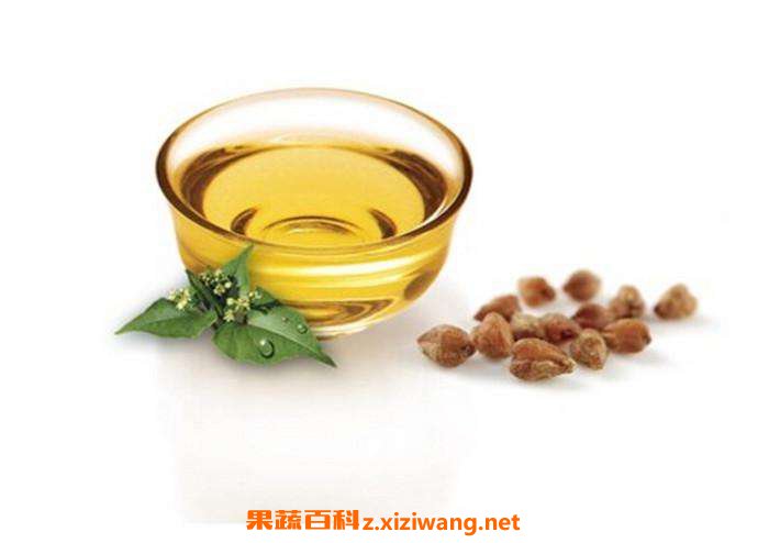 苦荞茶