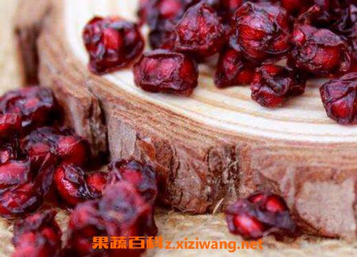 五味子泡水喝的功效与作用