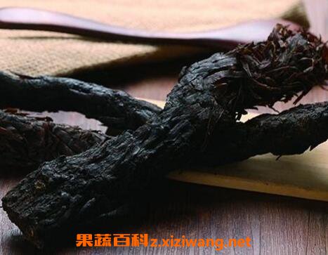 肉苁蓉泡水的功效与作用