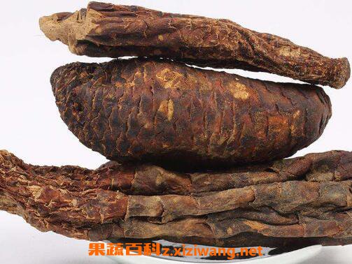 肉苁蓉泡水喝的步骤 肉苁蓉泡水喝的方法