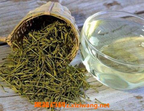 金银花茶的功效与作用及禁忌