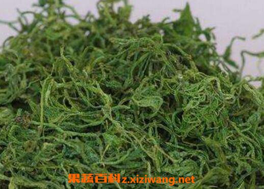 绞股蓝泡水喝的功效 绞股蓝泡水喝的好处