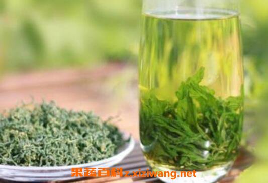 绞股蓝泡水喝的功效 绞股蓝泡水喝的好处