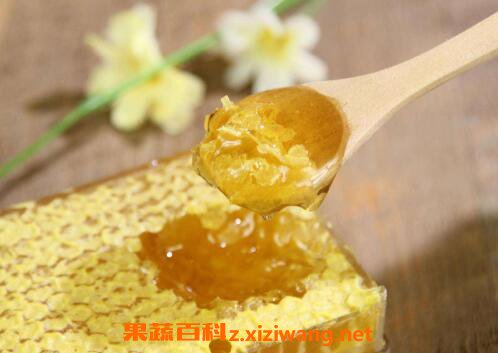 蜂巢怎么吃最好 蜂巢的正确吃法