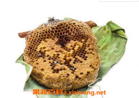 蜂房的功效与作用及药用价值