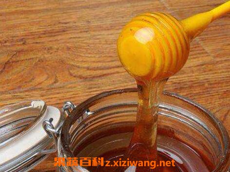 枣花蜜与槐花蜜的区别