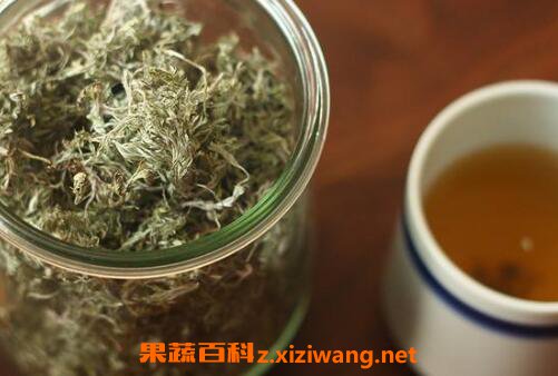 茵陈大枣汤的功效与副作用