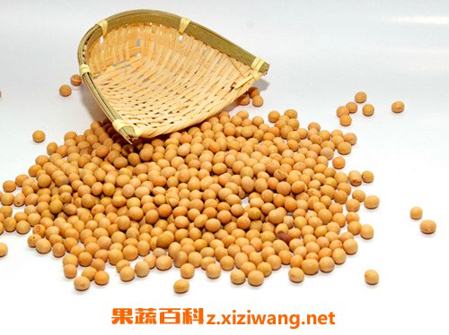 黄豆怎么吃