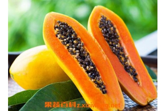产妇可以吃什么水果 适合产妇吃的水果介绍