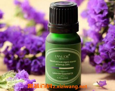 薰衣草精油怎么用 薰衣草精油的使用方法