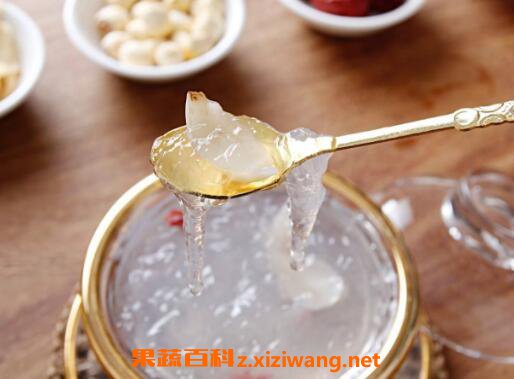 燕窝的功效与作用及营养价值