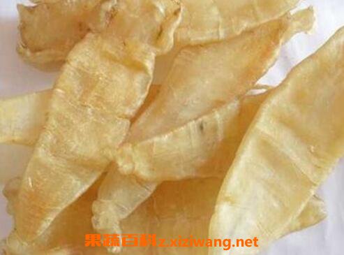 花胶的功效与作用及禁忌