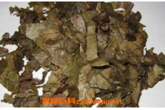 炙霪羊藿的功效与作用