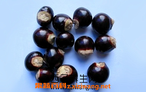 龙眼核