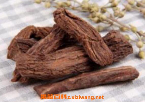 锁阳泡水喝的正确方法 锁阳泡水喝的禁忌