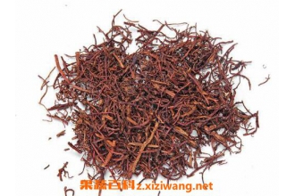蜜紫菀的功效与作用及药用价值