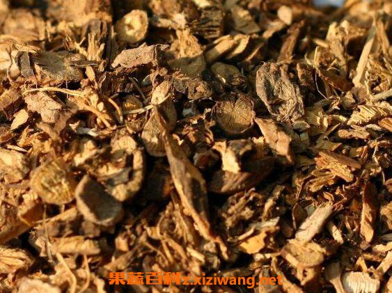 山豆根的副作用 山豆根中毒如何解毒