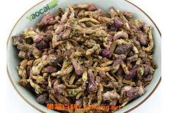 蜜款冬花的功效与作用