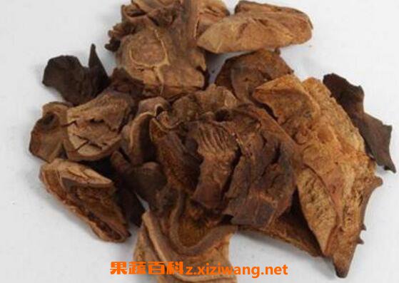 续断片的功效与作用