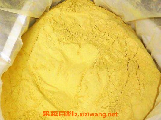 蒲黄的功效与作用及药用价值