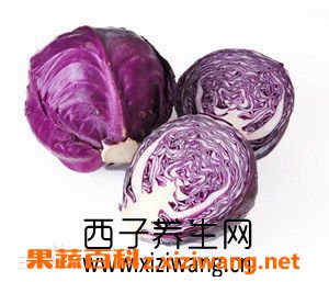紫甘蓝