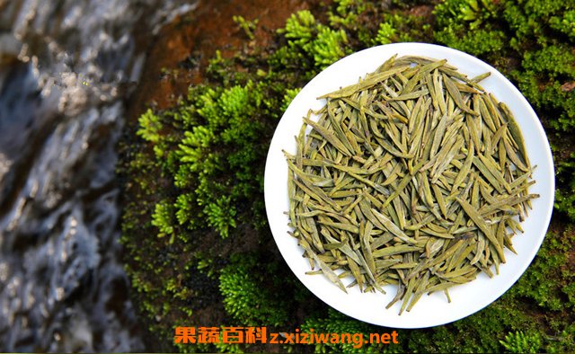 黄茶的营养价值