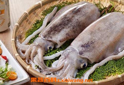 章鱼和墨鱼的功效与作用