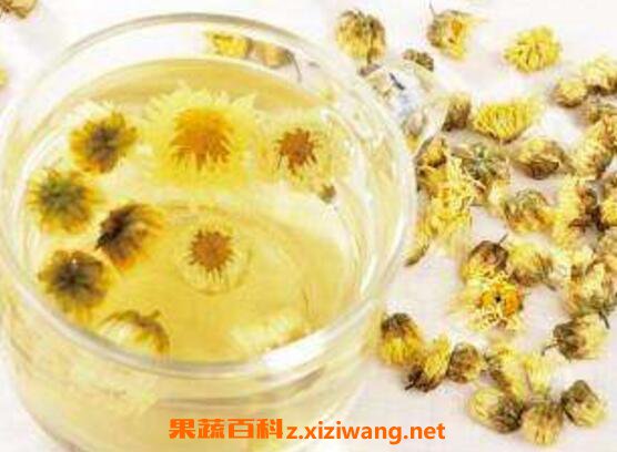 孕妇可以喝菊花茶吗 孕妇喝菊花茶的好处和功效