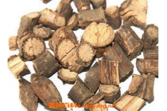 青风藤与海风藤的区别