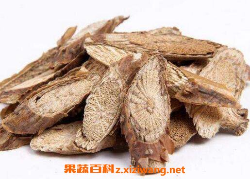宽筋藤的功效与作用及药用价值
