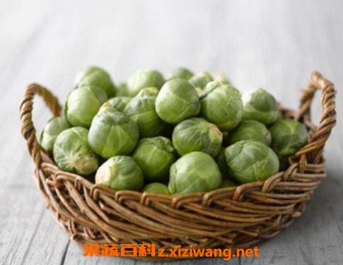 抱子甘蓝是转基因吗 抱子甘蓝的功效