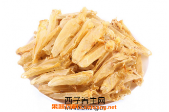 鱼肚