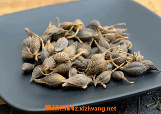 青连翘的功效与作用及药用价值
