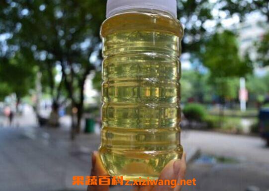 洋槐蜜的作用及功效