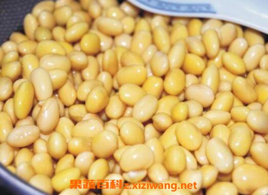 黄豆怎么去皮 黄豆去皮的方法技巧