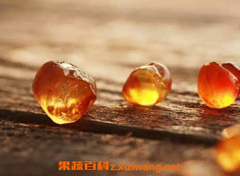 桃胶对男人有什么好处
