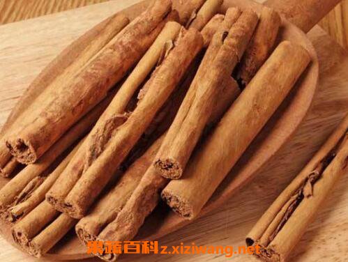 肉桂的功效与作用及药用价值