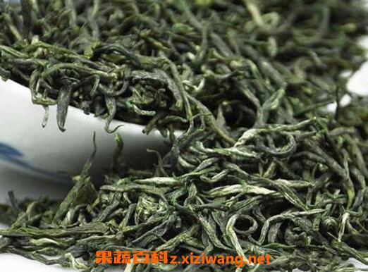 毛尖如何泡好喝 毛尖的冲泡方法