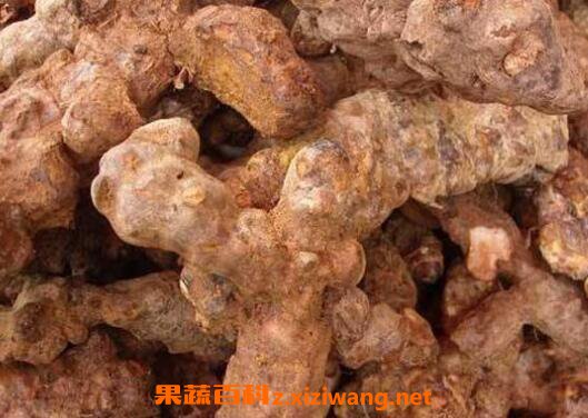 土茯苓的功效与作用及常见用法