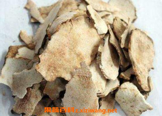 土茯苓的功效与作用及常见用法